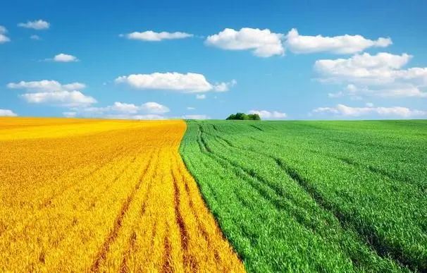 尼龍管PA66材料在機(jī)械以及農(nóng)業(yè)方面的應(yīng)用